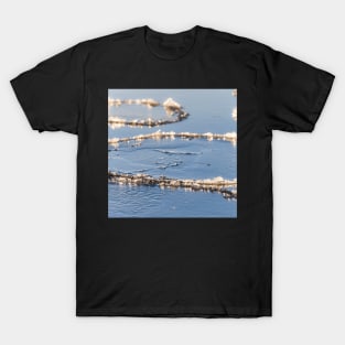 Baltic Sea Ice T-Shirt